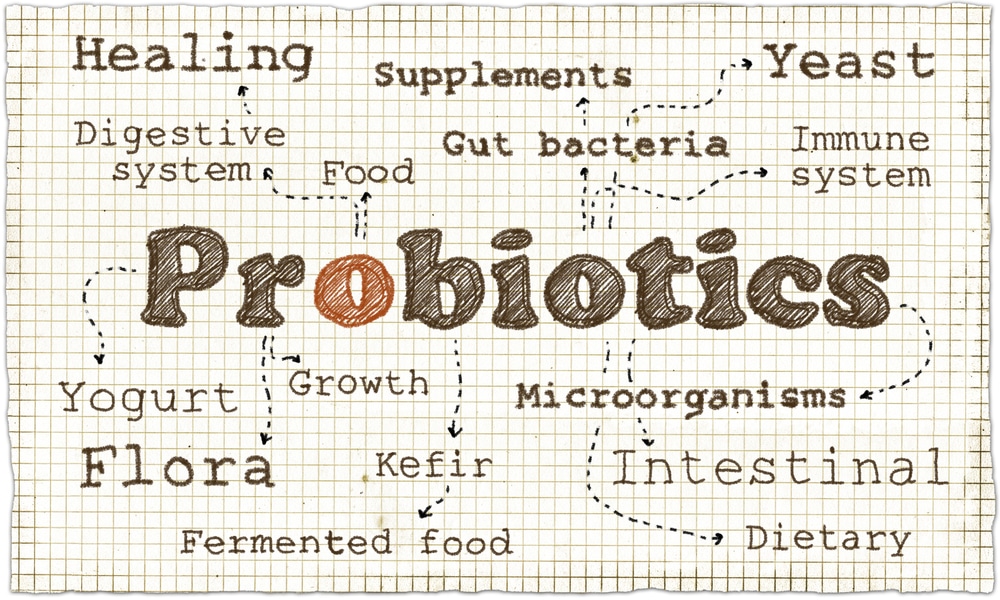 Dr. Sean Endsley's probiotics on a piece of paper.