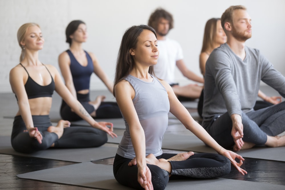A group of people doing yoga in a yoga studio.