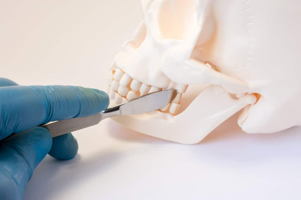 A dentist cutting a model of a human skull.