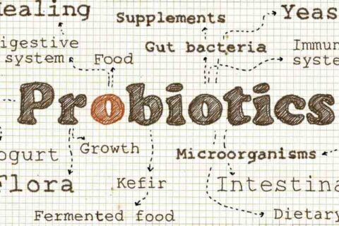 Probiotics