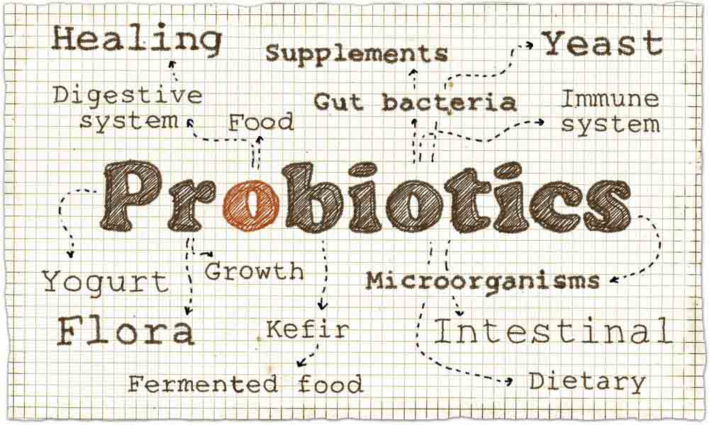 Probiotics